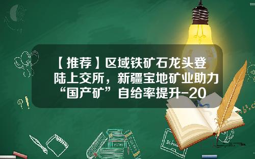 【推荐】区域铁矿石龙头登陆上交所，新疆宝地矿业助力“国产矿”自给率提升-2013年新疆上市公司
