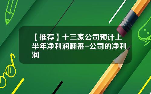 【推荐】十三家公司预计上半年净利润翻番-公司的净利润