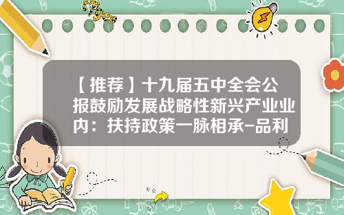 【推荐】十九届五中全会公报鼓励发展战略性新兴产业业内：扶持政策一脉相承-品利基金