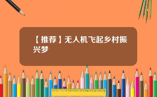 【推荐】无人机飞起乡村振兴梦