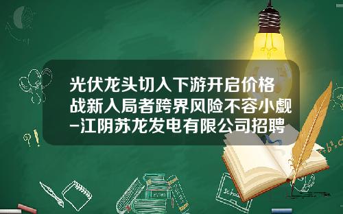 光伏龙头切入下游开启价格战新入局者跨界风险不容小觑-江阴苏龙发电有限公司招聘