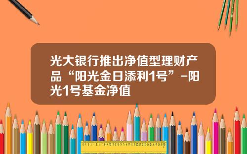 光大银行推出净值型理财产品“阳光金日添利1号”-阳光1号基金净值