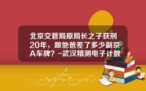 北京交管局原局长之子获刑20年，跟他爸差了多少副京A车牌？-武汉精测电子计数有限公司首页【新闻】