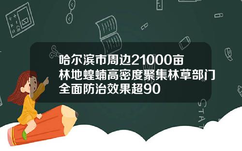 哈尔滨市周边21000亩林地蝗蝻高密度聚集林草部门全面防治效果超90
