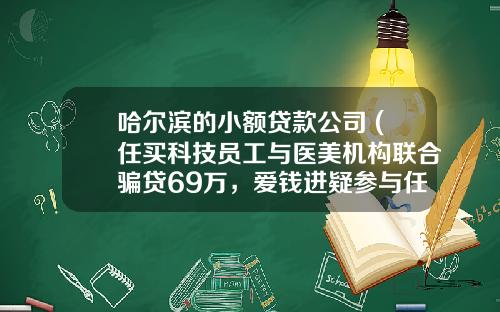 哈尔滨的小额贷款公司 (任买科技员工与医美机构联合骗贷69万，爱钱进疑参与任买医美业务)