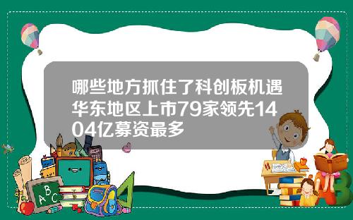哪些地方抓住了科创板机遇华东地区上市79家领先1404亿募资最多