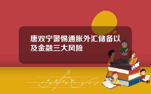 唐双宁警惕通胀外汇储备以及金融三大风险