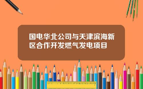 国电华北公司与天津滨海新区合作开发燃气发电项目