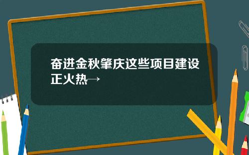 奋进金秋肇庆这些项目建设正火热→