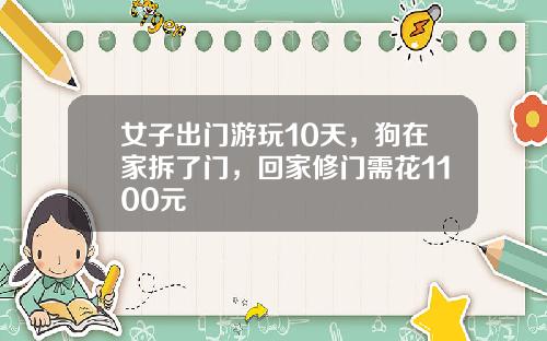 女子出门游玩10天，狗在家拆了门，回家修门需花1100元