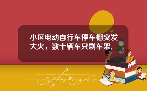 小区电动自行车停车棚突发大火，数十辆车只剩车架.