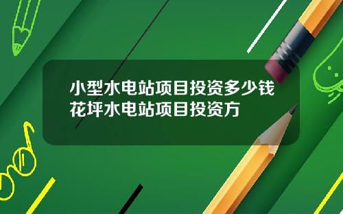小型水电站项目投资多少钱花坪水电站项目投资方