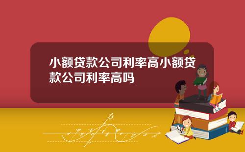 小额贷款公司利率高小额贷款公司利率高吗