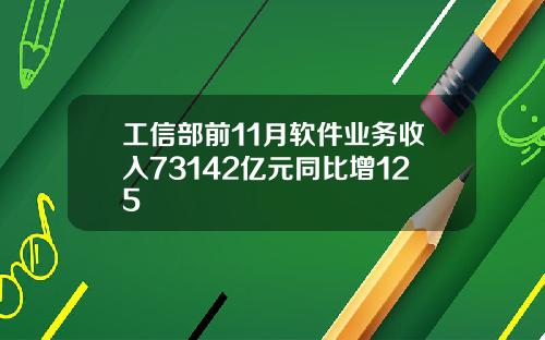 工信部前11月软件业务收入73142亿元同比增125