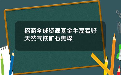 招商全球资源基金牛磊看好天然气铁矿石焦煤