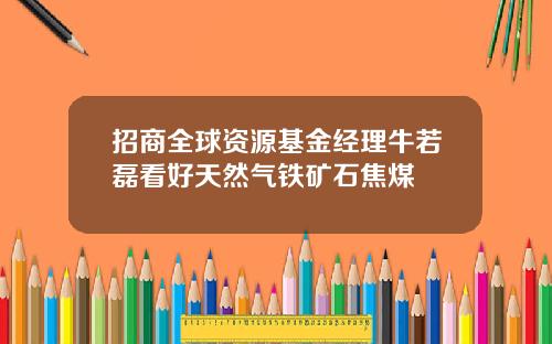 招商全球资源基金经理牛若磊看好天然气铁矿石焦煤