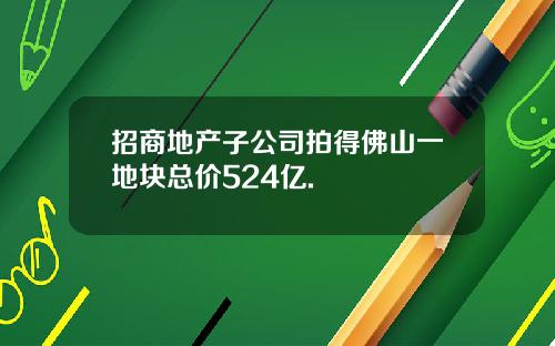 招商地产子公司拍得佛山一地块总价524亿.