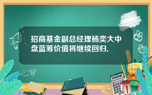 招商基金副总经理杨奕大中盘蓝筹价值将继续回归.