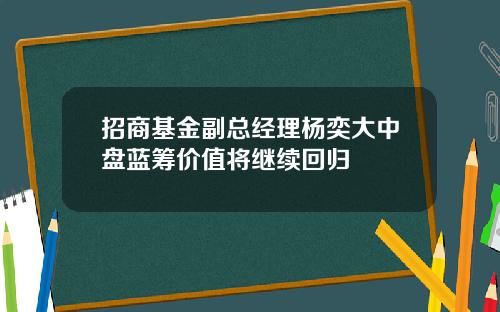 招商基金副总经理杨奕大中盘蓝筹价值将继续回归