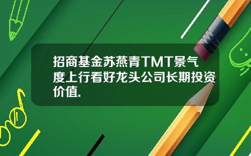 招商基金苏燕青TMT景气度上行看好龙头公司长期投资价值.