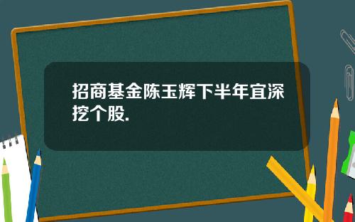 招商基金陈玉辉下半年宜深挖个股.