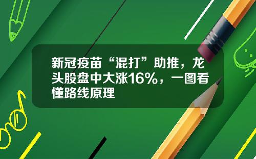 新冠疫苗“混打”助推，龙头股盘中大涨16%，一图看懂路线原理