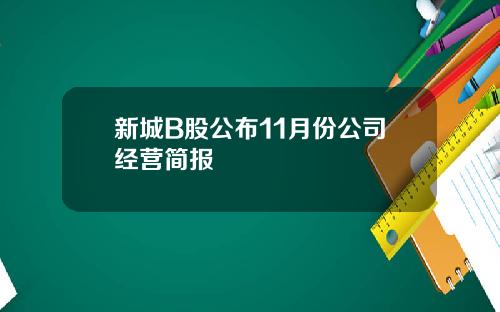 新城B股公布11月份公司经营简报