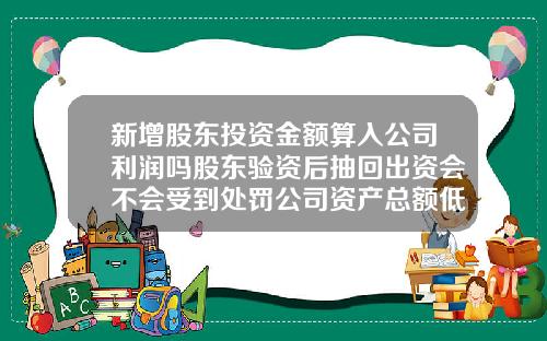 新增股东投资金额算入公司利润吗股东验资后抽回出资会不会受到处罚公司资产总额低于注册资本能否分配赚取的利润
