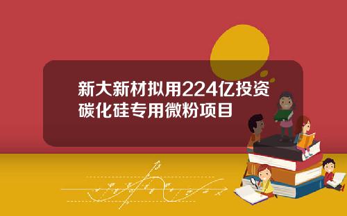 新大新材拟用224亿投资碳化硅专用微粉项目