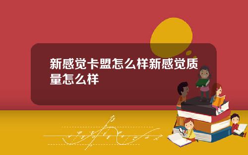 新感觉卡盟怎么样新感觉质量怎么样