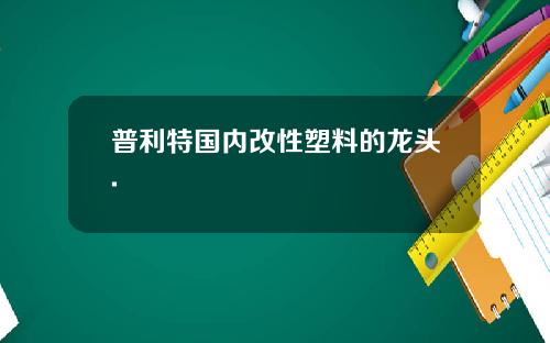 普利特国内改性塑料的龙头.