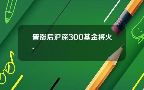 普涨后沪深300基金将火.