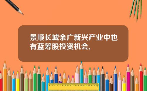 景顺长城余广新兴产业中也有蓝筹股投资机会.