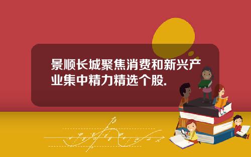 景顺长城聚焦消费和新兴产业集中精力精选个股.