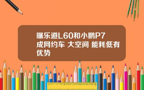 曝乐道L60和小鹏P7+成网约车 大空间+能耗低有优势