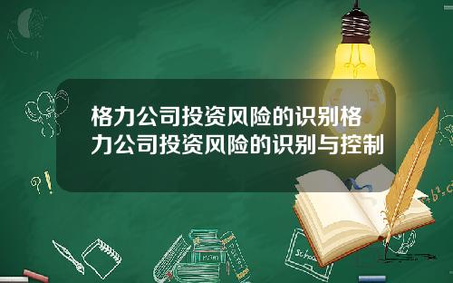 格力公司投资风险的识别格力公司投资风险的识别与控制