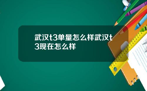 武汉t3单量怎么样武汉t3现在怎么样
