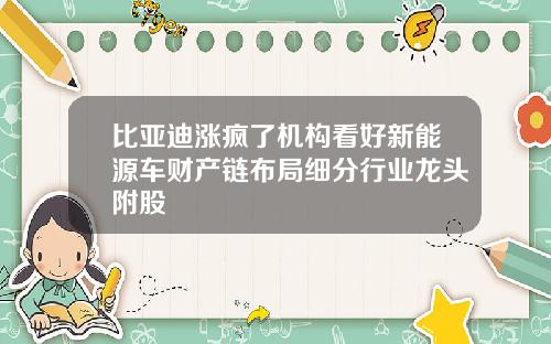 比亚迪涨疯了机构看好新能源车财产链布局细分行业龙头附股