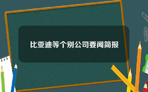 比亚迪等个别公司要闻简报