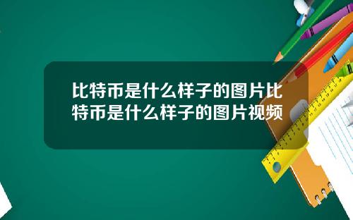 比特币是什么样子的图片比特币是什么样子的图片视频
