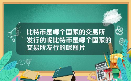 比特币是哪个国家的交易所发行的呢比特币是哪个国家的交易所发行的呢图片