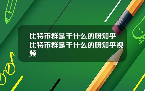 比特币群是干什么的呀知乎比特币群是干什么的呀知乎视频