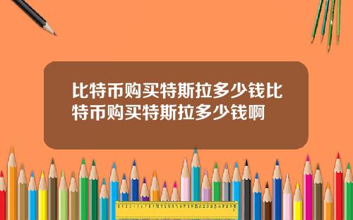 比特币购买特斯拉多少钱比特币购买特斯拉多少钱啊