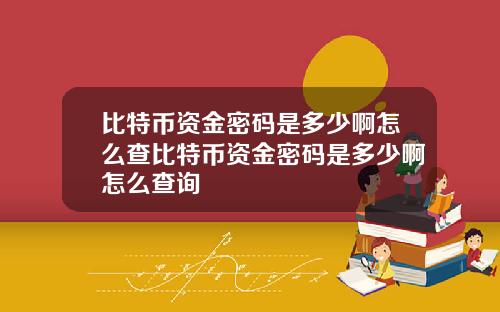 比特币资金密码是多少啊怎么查比特币资金密码是多少啊怎么查询