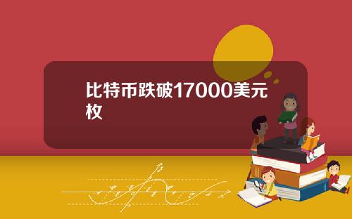 比特币跌破17000美元枚