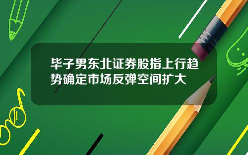 毕子男东北证券股指上行趋势确定市场反弹空间扩大