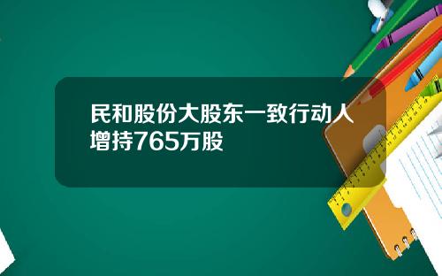 民和股份大股东一致行动人增持765万股