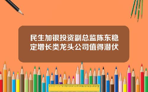 民生加银投资副总监陈东稳定增长类龙头公司值得潜伏