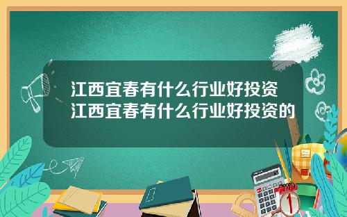 江西宜春有什么行业好投资江西宜春有什么行业好投资的