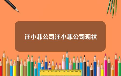 汪小菲公司汪小菲公司现状